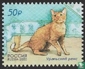 Les chats