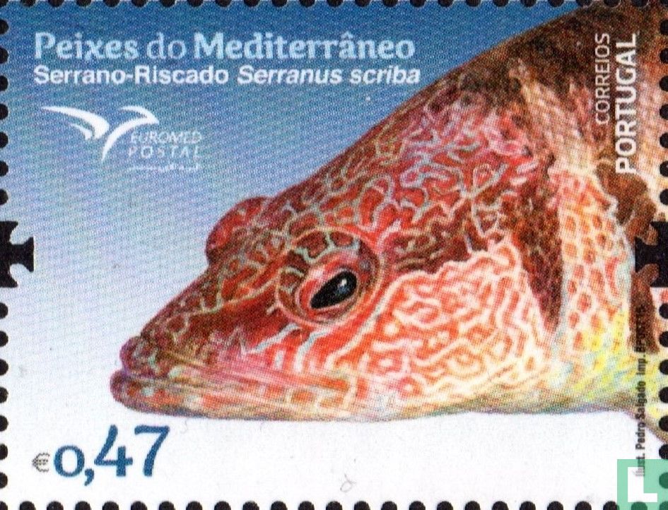 Vissen van de Middellandse Zee 0,47 (2016) - Portugal - LastDodo