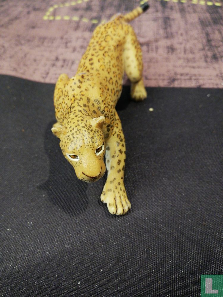Jaguar