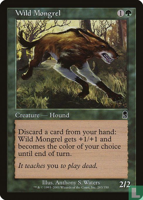 Wild Mongrel