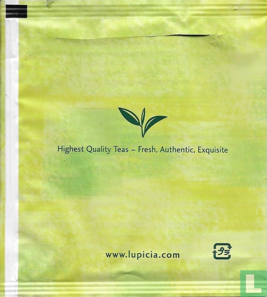 Sencha 