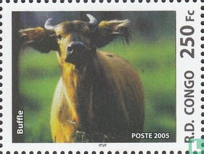 Buffalo