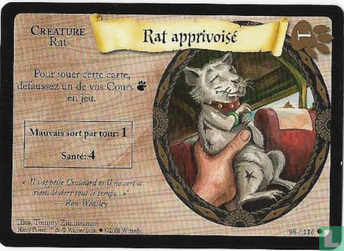 Rat apprivoisé