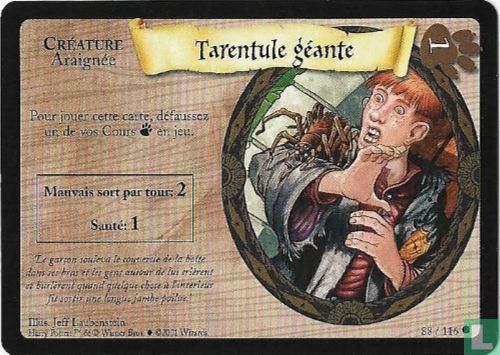 Tarentule géante