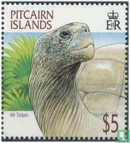 Tortue