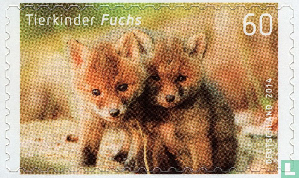 Renard roux