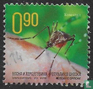 Insecten