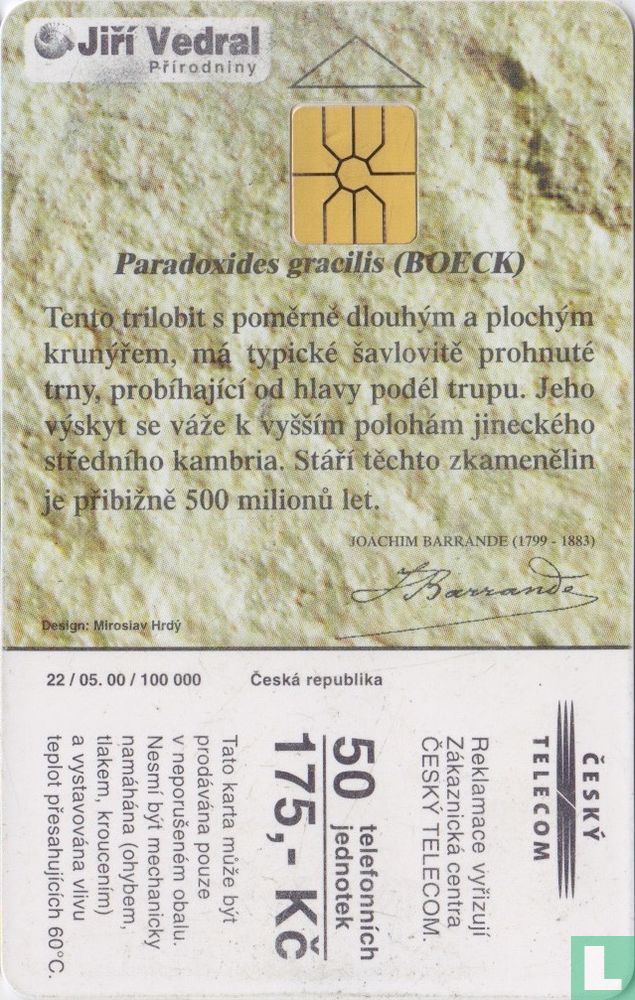 Paradoxides gracilis (BOECK)
