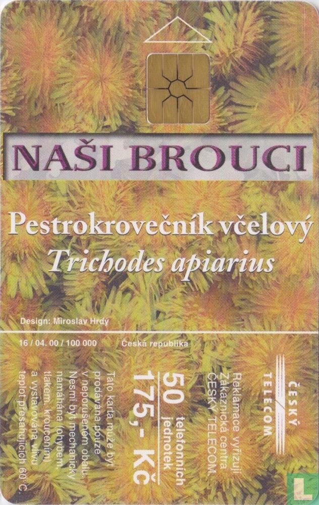 Nasi Brouci