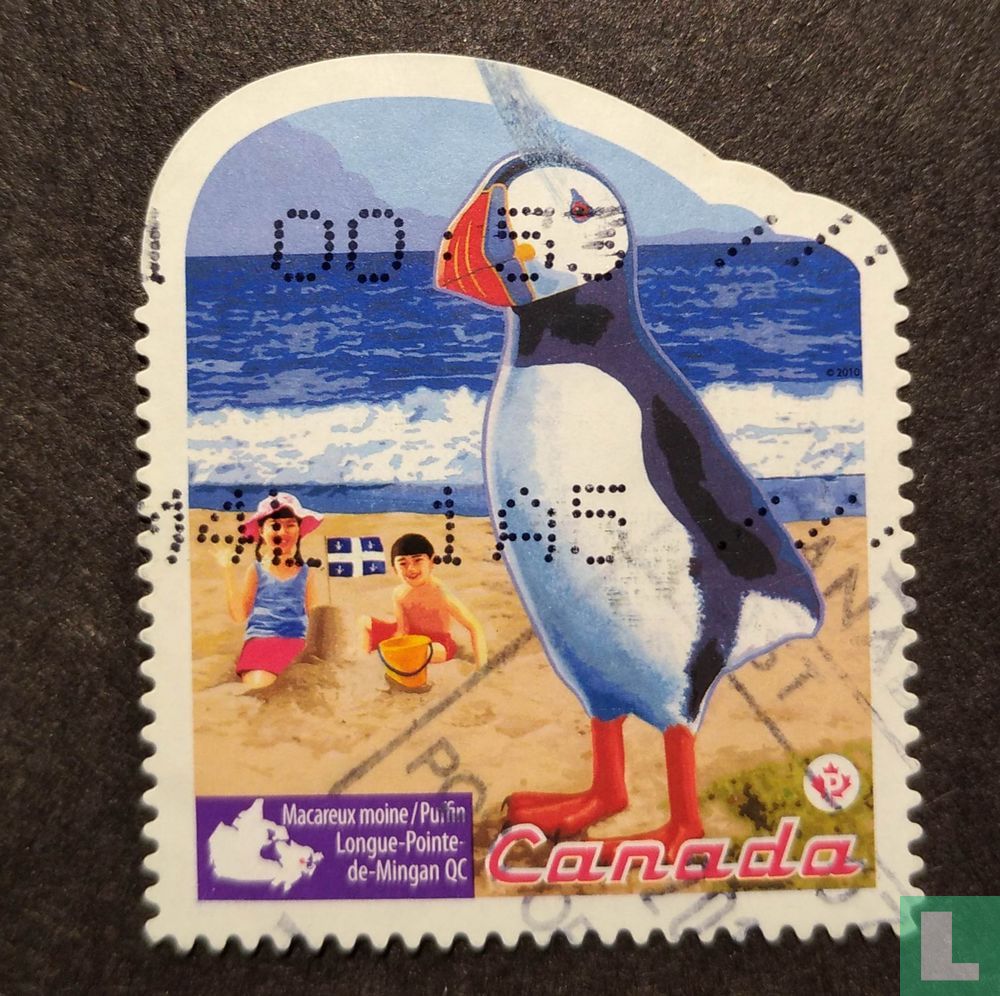 Attractions de la rue