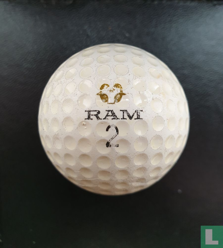 NO Logo RAM