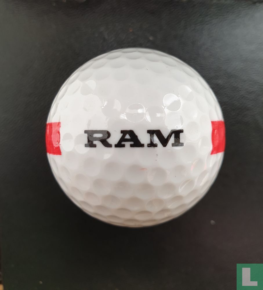 NO Logo RAM