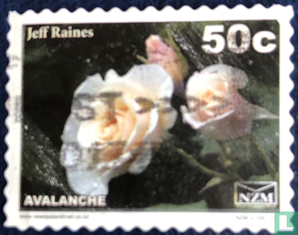 Roses
