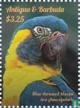 Parrots