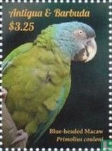 Parrots