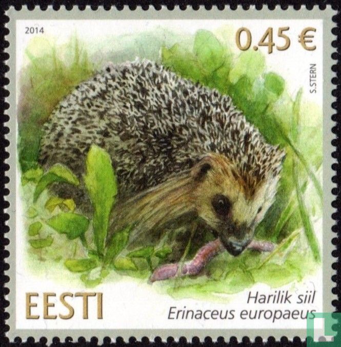 Hedgehog