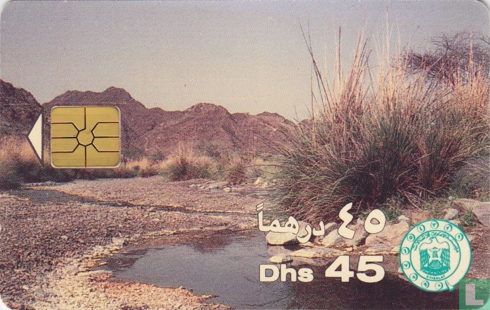 Wadi and Hills