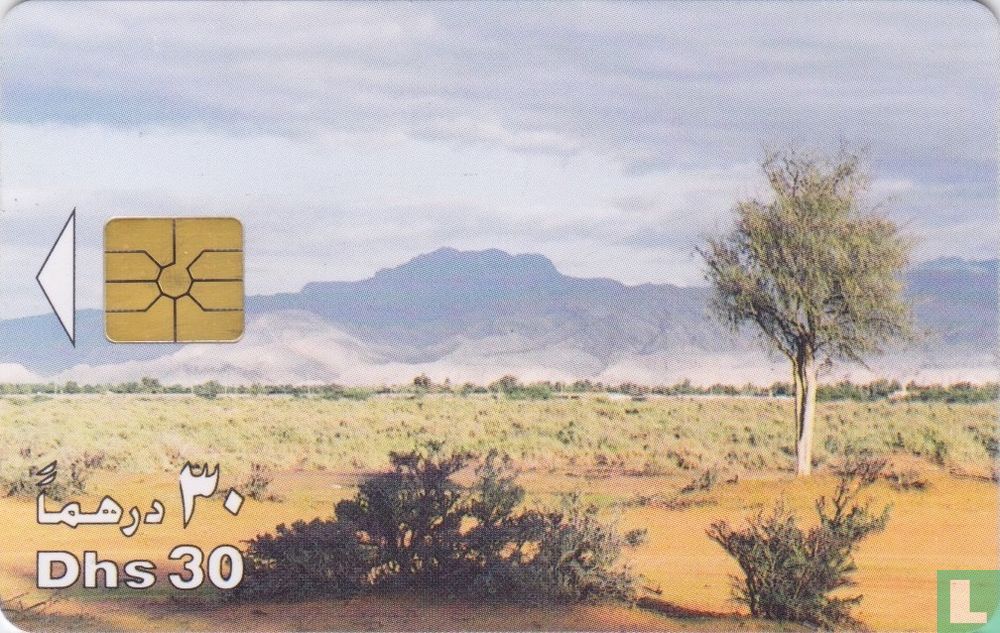Desert Scrub