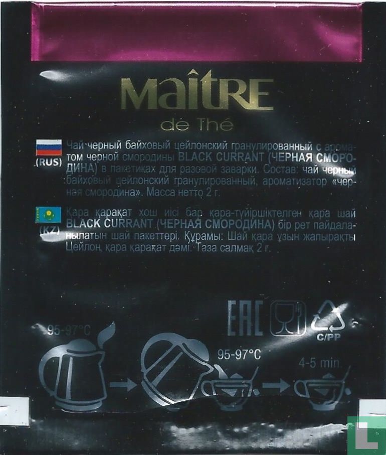 Black Currant 
