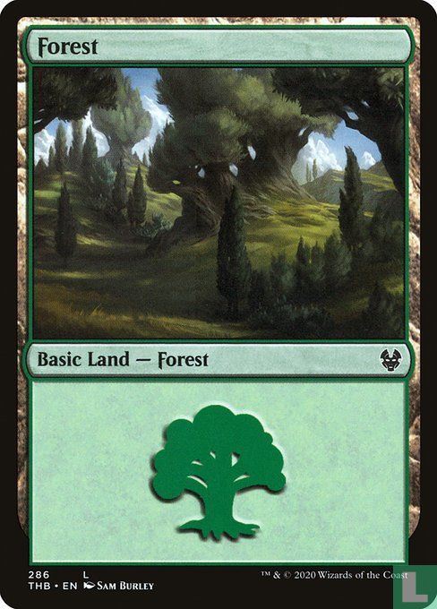 Forest
