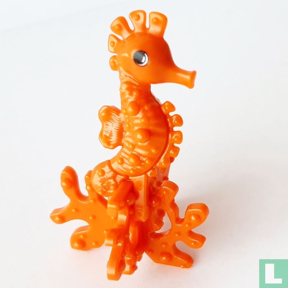 Hippocampe