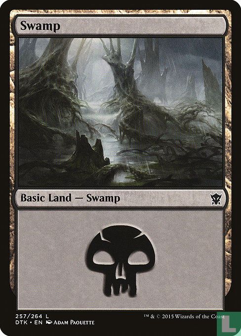 Swamp