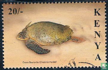 Les tortues