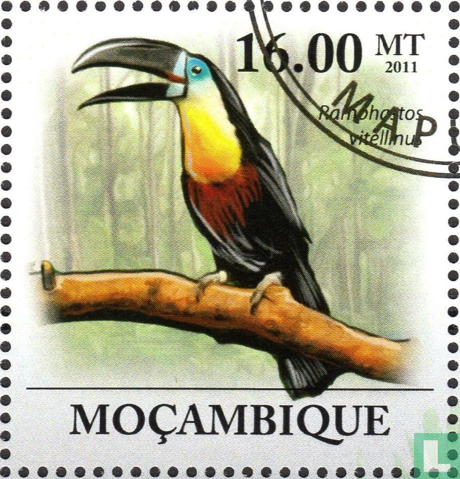 Toucan