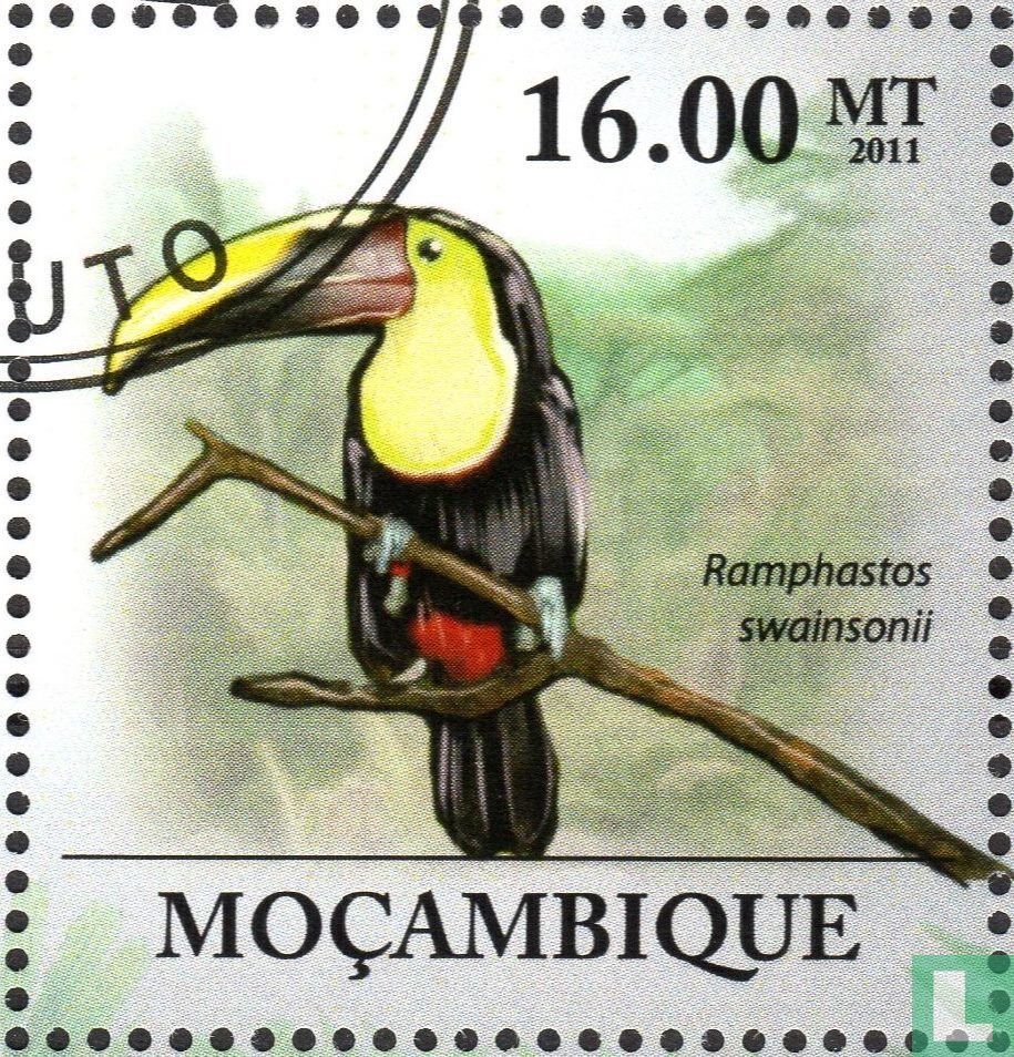 Toucan