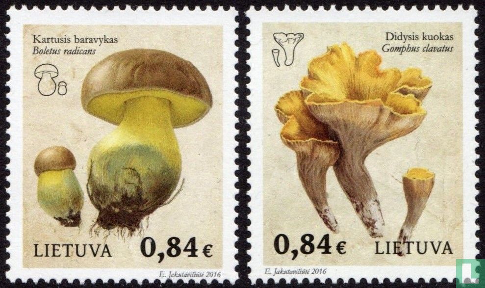 Mushrooms