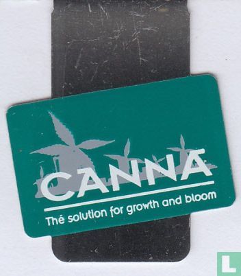 Canna 