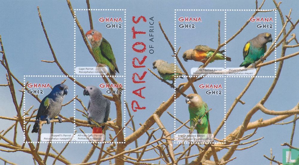 Perroquets