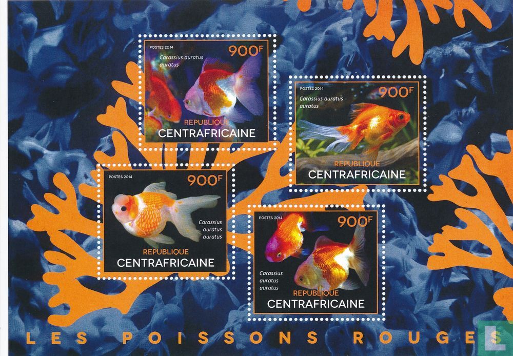 Poisson rouge