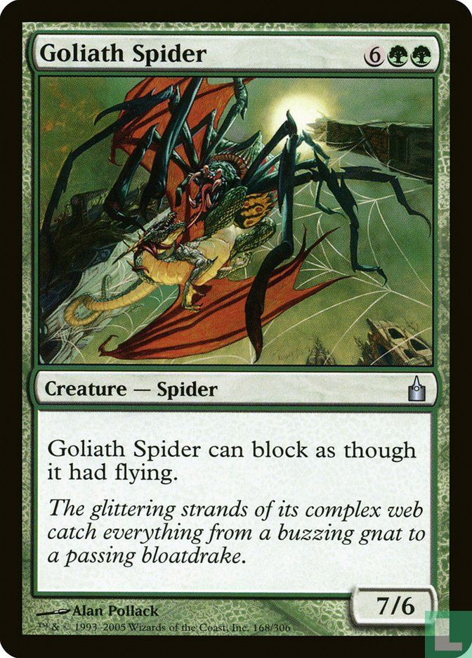 Goliath Spider