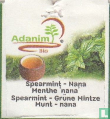 Spearmint - Nana