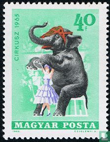 Circus