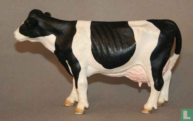 Holstein Koe staand