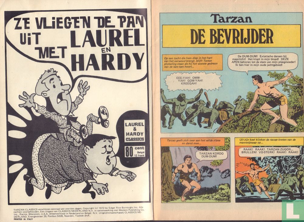 De bevrijder