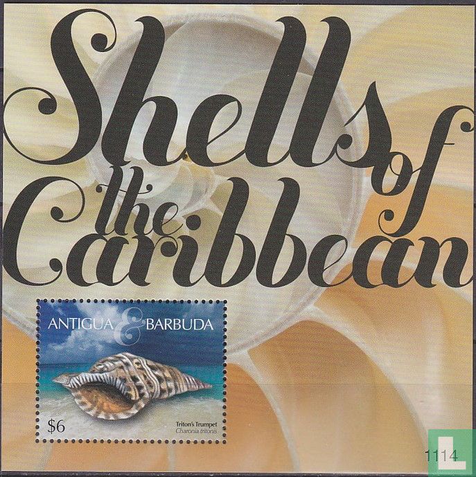Shells