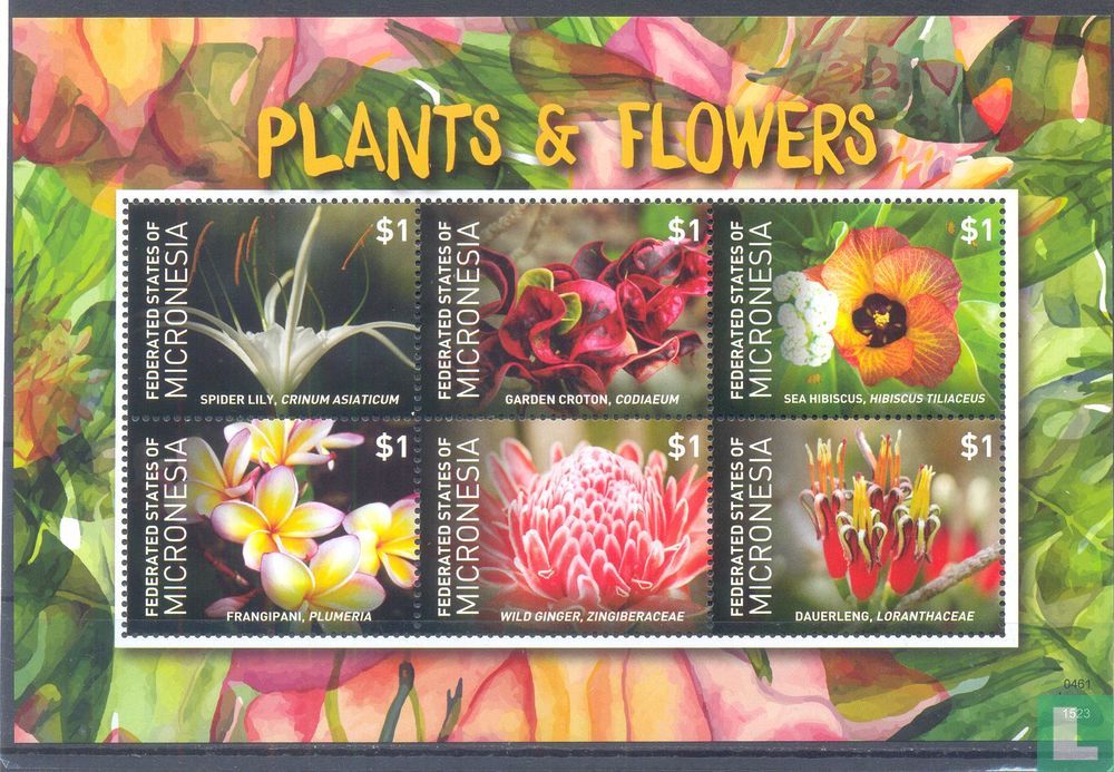 Plants and flowers
