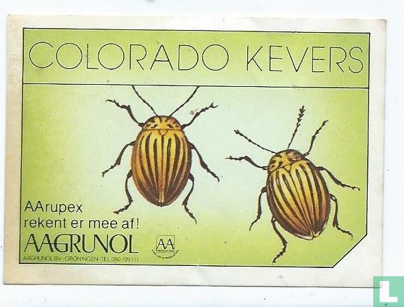 Colorado kevers