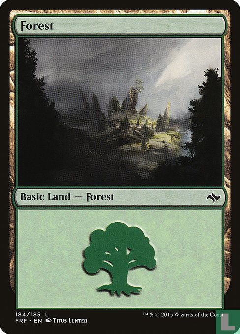 Forest