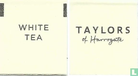 White Tea