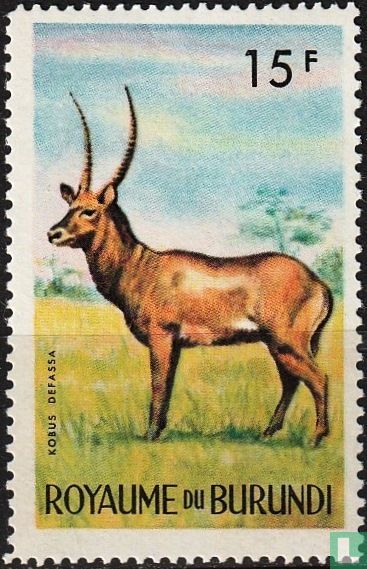 Defassa Waterbuck