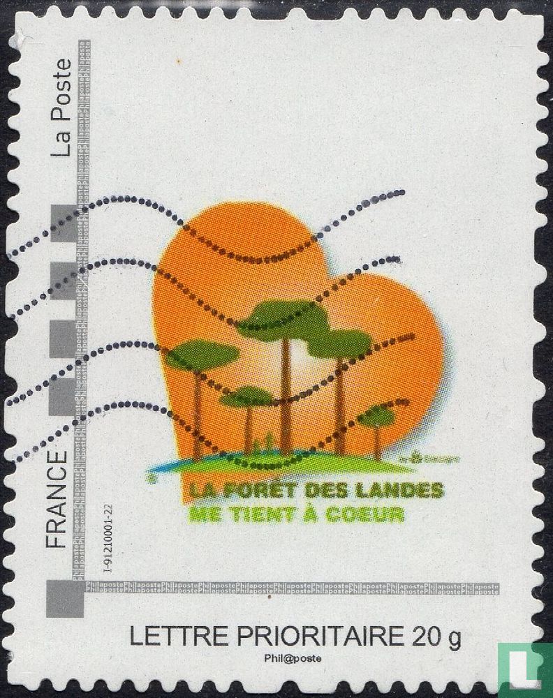 La forêt des Landes