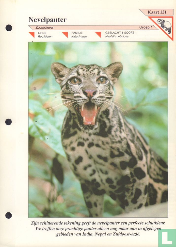 Nevelpanter