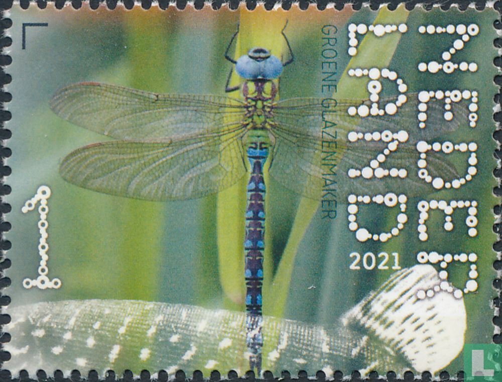 Green glazier