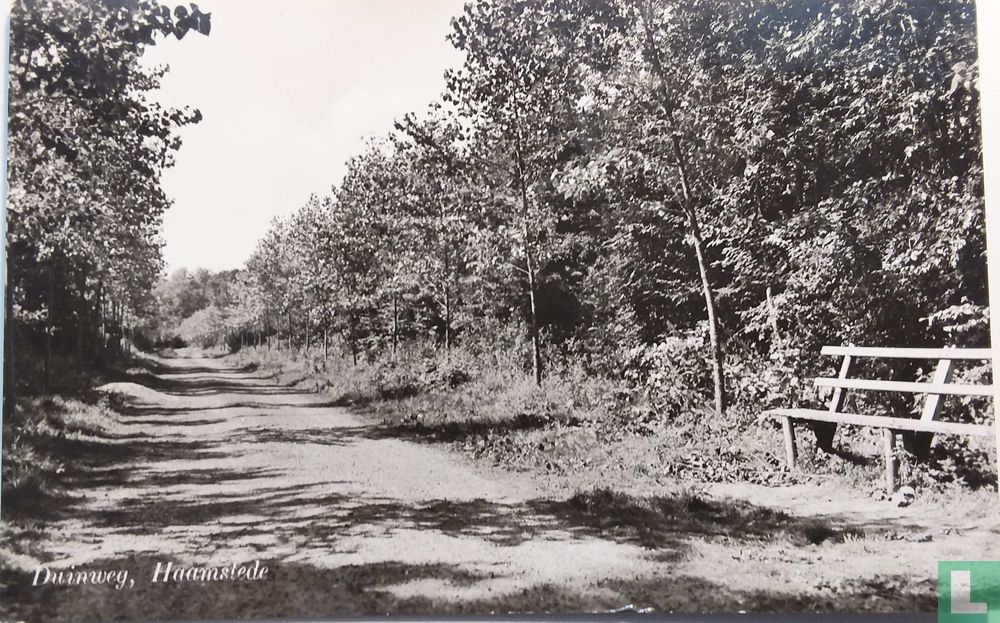 Duinweg,Haamstede