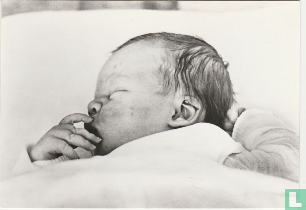 Prins Johan Friso