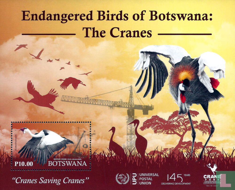 Cranes